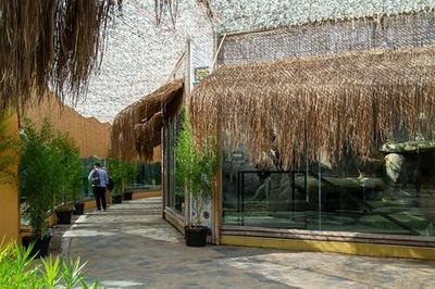 Тематический парк Виапорт с аквариумом и парком львов: Входной билет - photo 4