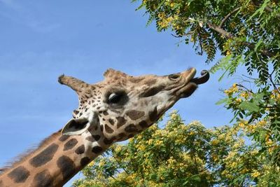 Terra Natura Murcia: Входной билет - photo 4