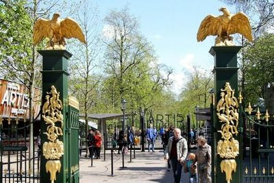 Зоопарк Артис: Входной билет - photo 4