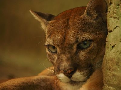 Парк консерватории Медельин: Билет с входом без очереди - photo 3