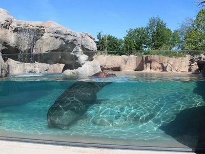 Увеличить Турин: Входной билет - photo 3