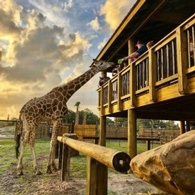 Вход в парк сафари Wild Florida Drive-Thru - photo 4