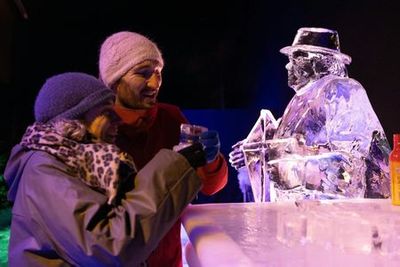 Art Below Zero: вход на выставку ледяных скульптур - photo 4