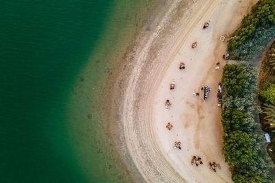 Остров Аль-Нур и дом бабочек: входной билет - photo 3