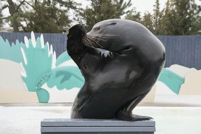 Нью-Йоркский аквариум: Входной билет - photo 4