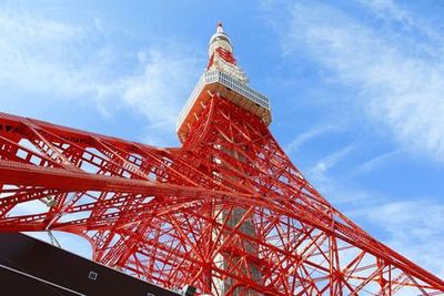 Токийская башня: вход на главную палубу + билет в токийское метро - photo 3