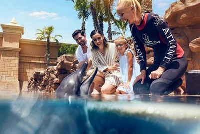Aquaventure: Входной билет + встреча с дельфинами в деревне Атлас - photo 3