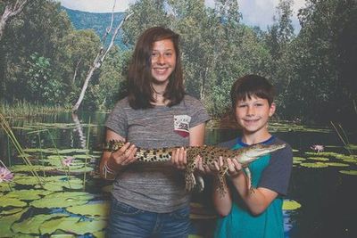 Крокодиловые приключения Хартли: Входной билет - photo 3