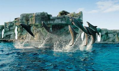 Тематический парк Олтремаре: Входной билет + Обед - photo 3