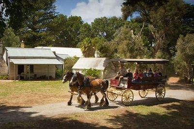 Остров Филиппа: входной билет на остров Черчилля - photo 3