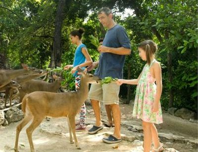 Зоопарк Croco Cun: Билет с быстрым входом - photo 3