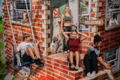 3D-музей TrickArt, Берлин: Входной билет - photo 4