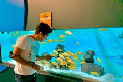 Океанариум Мичин, Пуэбла: Входной билет - photo 3