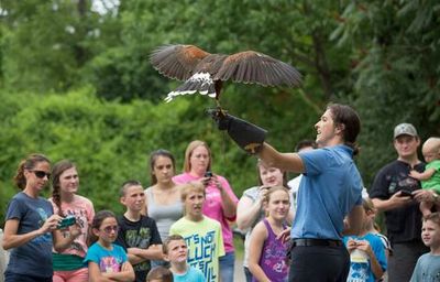 Нашвиллский зоопарк в Грассмере: Билет с быстрым входом - photo 3