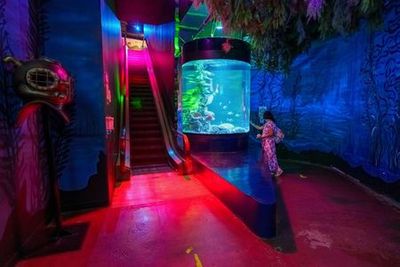 Аквариум Инбурса в Мехико: входной билет - photo 3