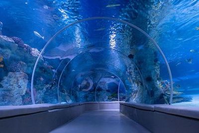 Emaar Aquarium и Emaar Skyview: комбинированный входной билет - photo 3
