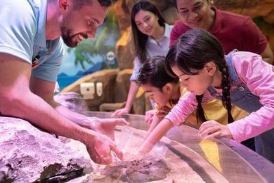 МОРСКАЯ ЖИЗНЬ МАЛАЙЗИЯ: Входной билет - photo 4