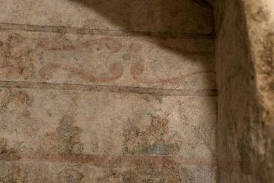 Музей оливкового масла MOOM MOOM: Входной билет - photo 4