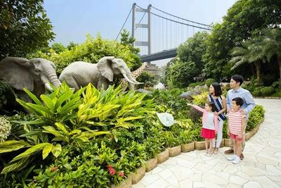 Ноев Ковчег: Входной билет - photo 3