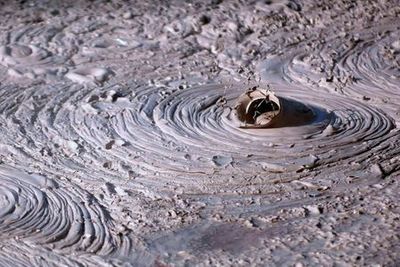 Waiotapu Thermal Wonderland: Входной билет - photo 4