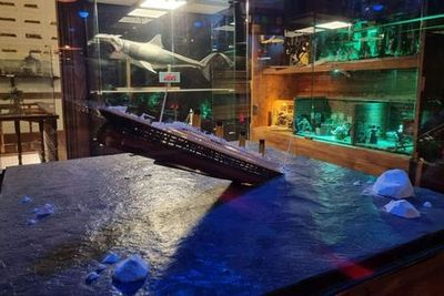 Музей игрушек Балата: Входной билет - photo 4