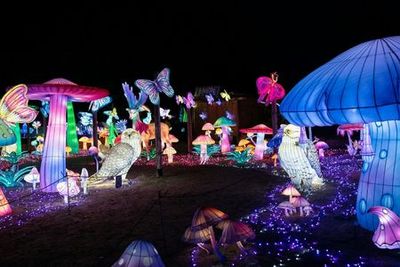 Амневильский зоопарк: Билет с быстрым входом - photo 4