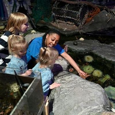 МОРСКАЯ ЖИЗНЬ Бирмингема: Входной билет - photo 4