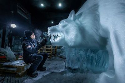 Фестиваль ледяных скульптур в Голландии: Входной билет - photo 4