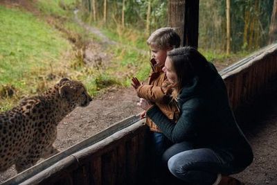 Зоопарк Overloon: Входной билет - photo 4