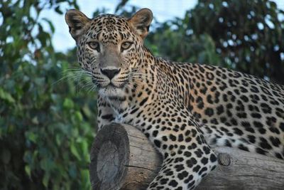 Terra Natura Murcia: Входной билет - photo 3