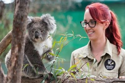 Парк дикой природы Moonlit Sanctuary: Входной билет - photo 4