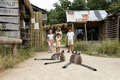 Зоопарк Overloon: Входной билет - photo 3