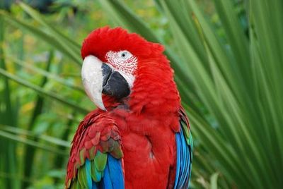 Лиссабонский зоопарк: Билет с быстрым входом - photo 3