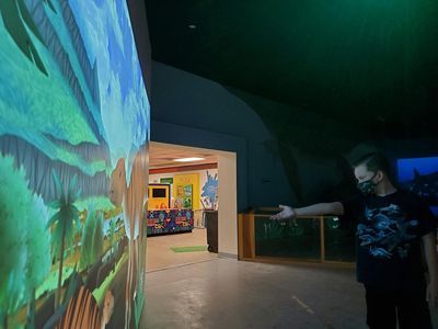 Музей естественной истории Лас-Вегаса: Входной билет - photo 4