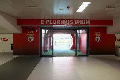 Музей Estádio da Luz & Benfica: входной билет + дегустация вина + шарф - photo 4