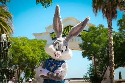 Парк Warner Madrid: Входной билет - photo 3