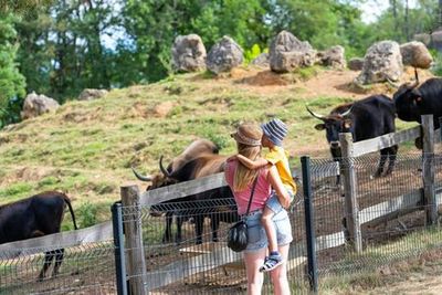 Thot Парк: входной билет - photo 3