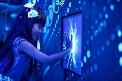 SEA LIFE Мельбурн и LEGOLAND® Discovery Centre - комбинированный билет - photo 4