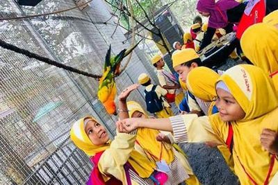 G2G Животный сад: Входной билет - photo 3