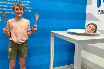 Музей иллюзий Скоттсдейл: Входной билет - photo 4