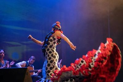 Мадрид: шоу фламенко в театре фламенко - photo 3