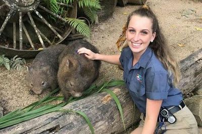 Сады коалы в Куранде: Входной билет - photo 4