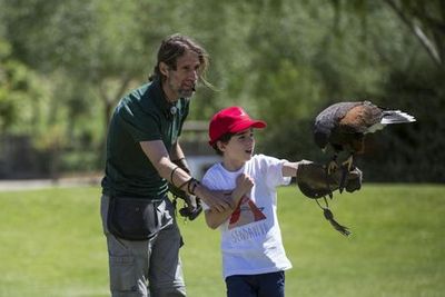 Сендавива: Билет с быстрым входом - photo 3