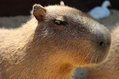 Океанариум Мичин в Гвадалахаре: Входной билет - photo 4