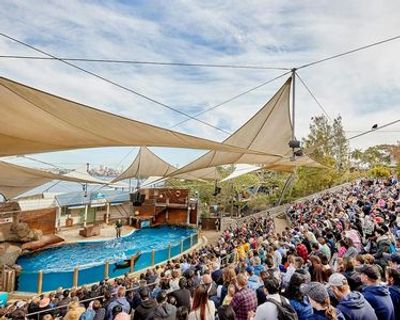 Зоопарк Таронга в Сиднее: Входной билет - photo 4