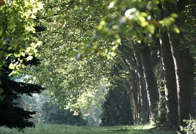 Дендрарий Шеврелуп: Входной билет - photo 3