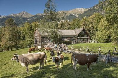 Музей под открытым небом Ballenberg: Билет с входом без очереди - photo 4