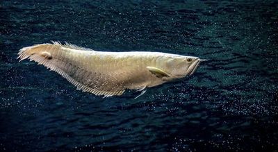 Парк Эксплора: Входной билет - photo 4