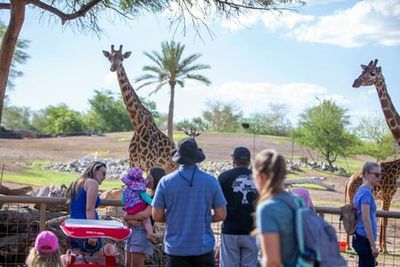 Зоопарк Феникс: Входной билет - photo 3