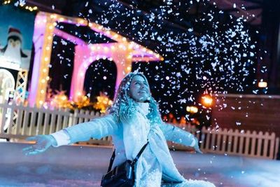 Зимний рай в Амстердаме: Входной билет - photo 3